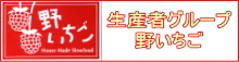 삢